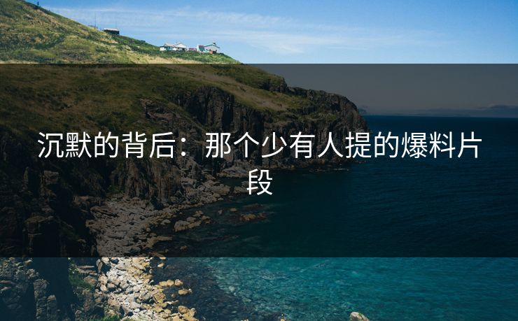 沉默的背后：那个少有人提的爆料片段